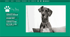 Desktop Screenshot of citypawshomehealth.com